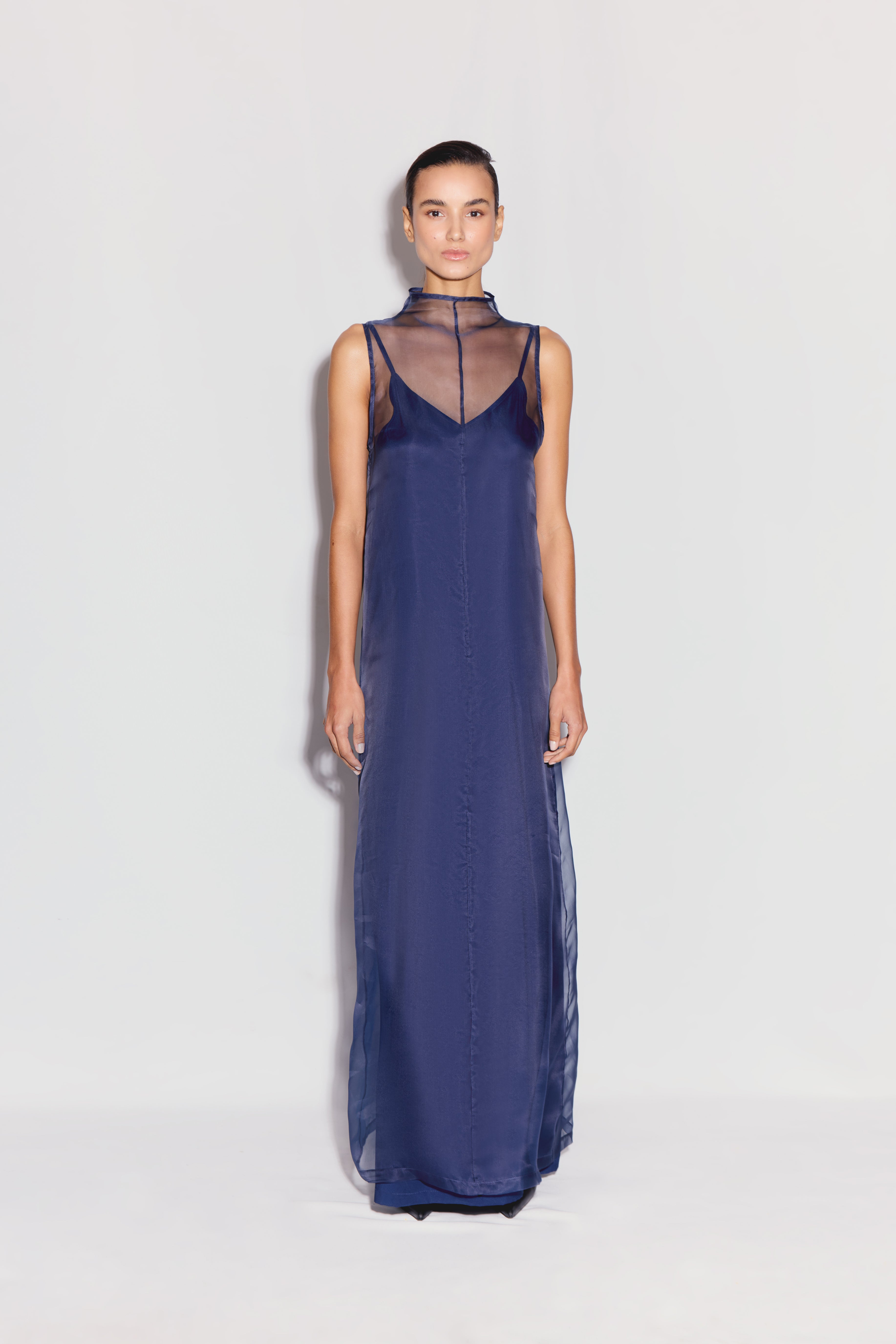 ZARAE - Sleeveless Organza Maxi Dress With Lining – ANIM