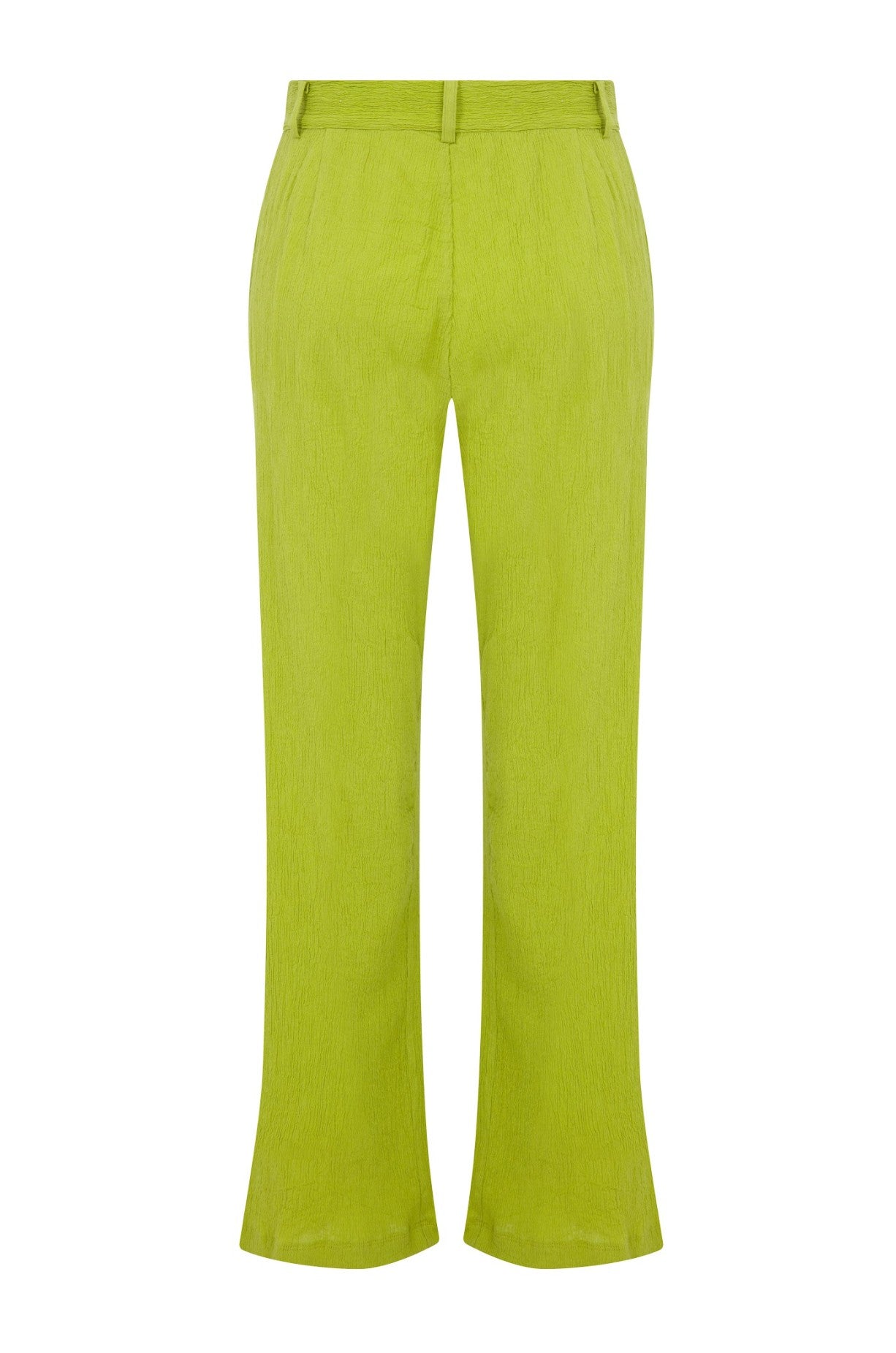 CYRUS - Green Crinkled Pants – ANIM